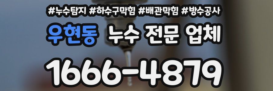 우현동 누수 전문 업체