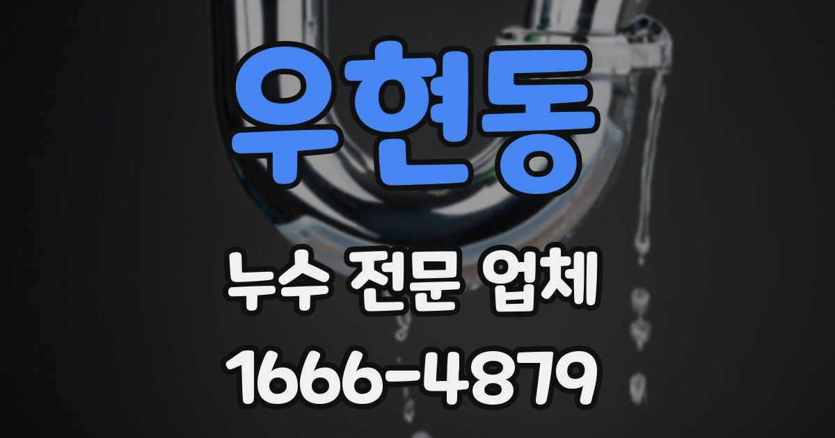 우현동 누수 전문 업체