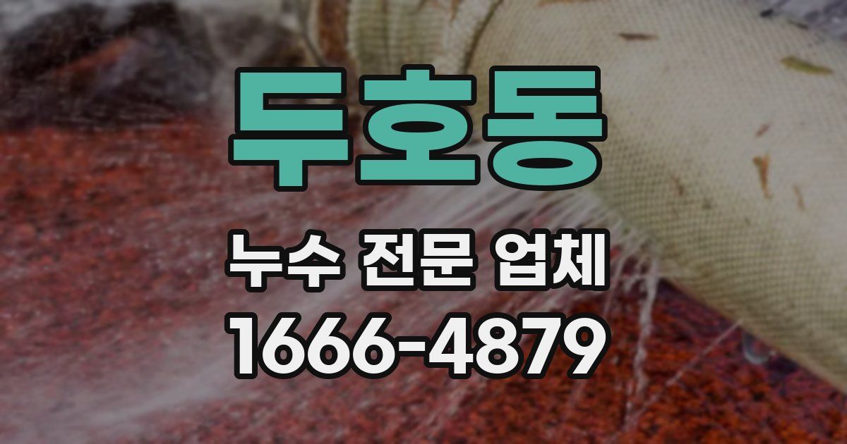 두호동 누수 전문 업체