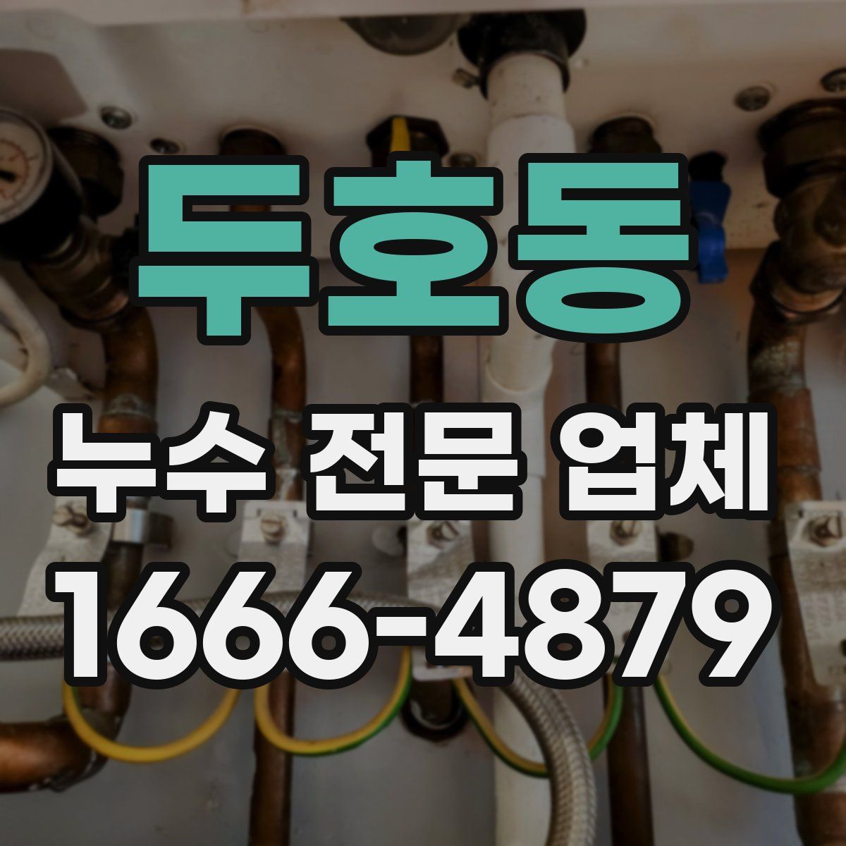 두호동 누수 전문 업체