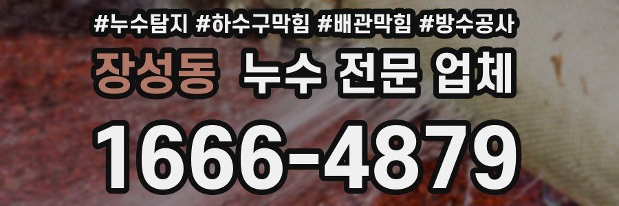 장성동 누수 전문 업체