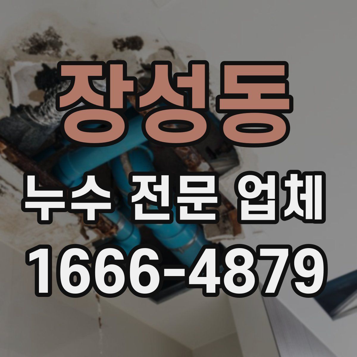 장성동 누수 전문 업체