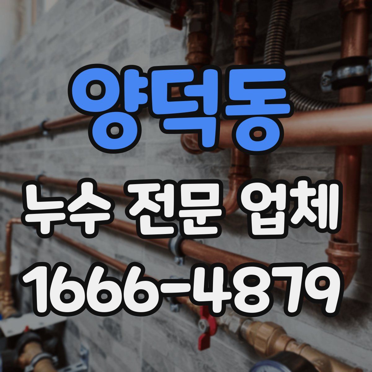 양덕동 누수 전문 업체