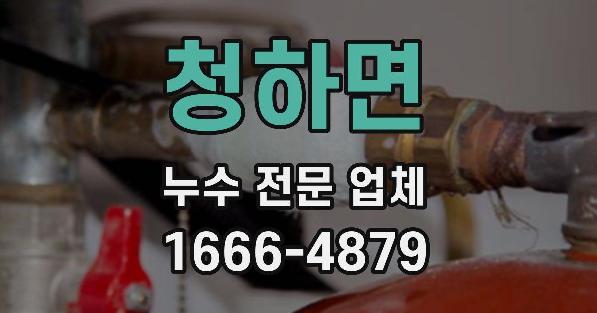 청하면 누수 전문 업체