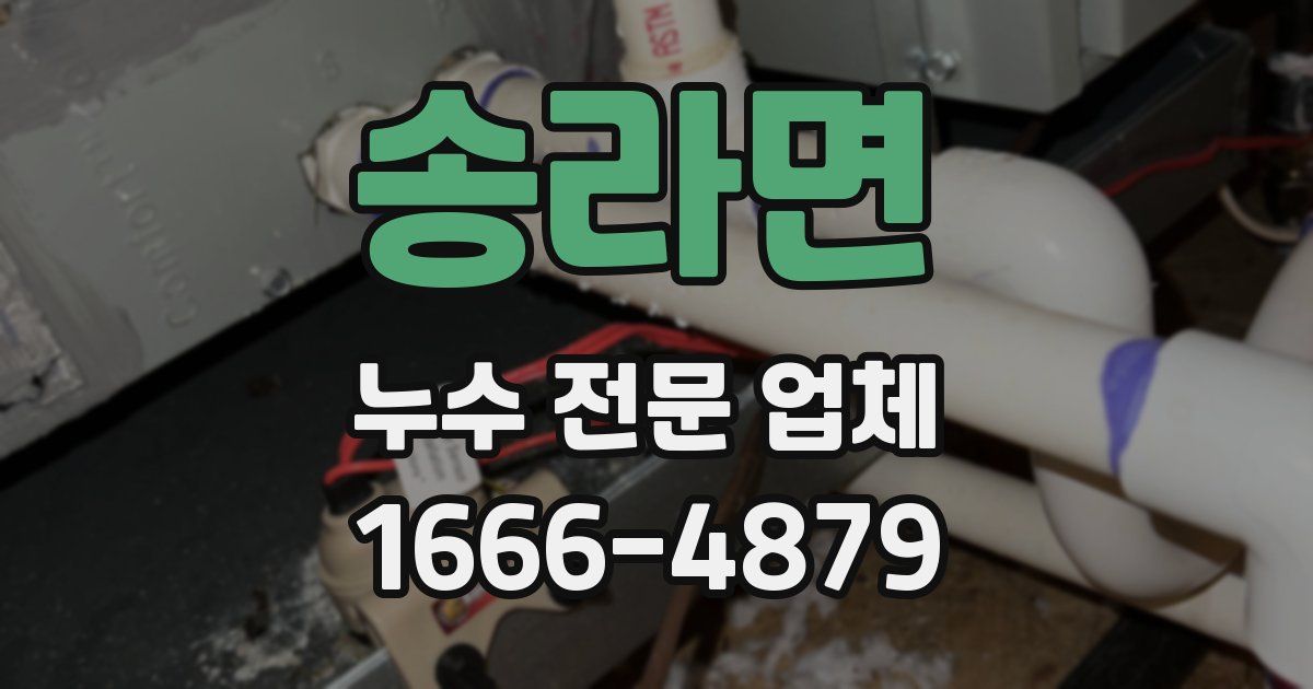 송라면 누수 전문 업체