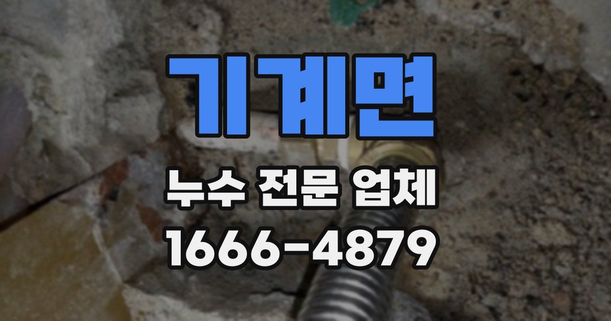 기계면 누수 전문 업체