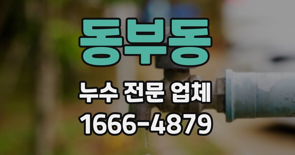 동부동 누수 전문 업체