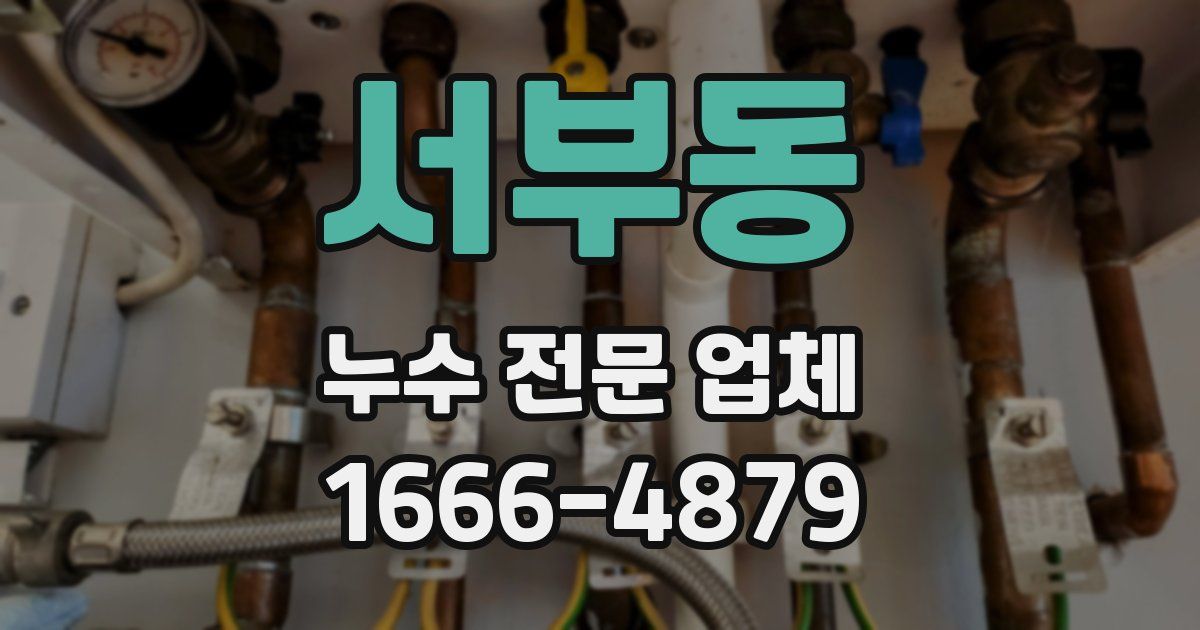 서부동 누수 전문 업체