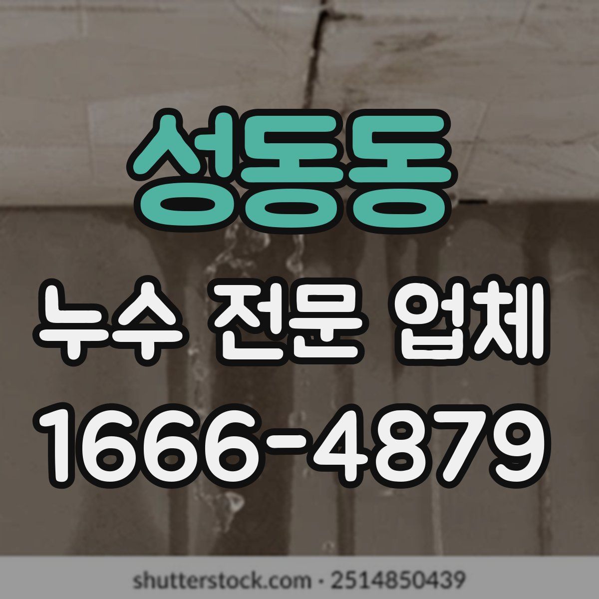 성동동 누수 전문 업체