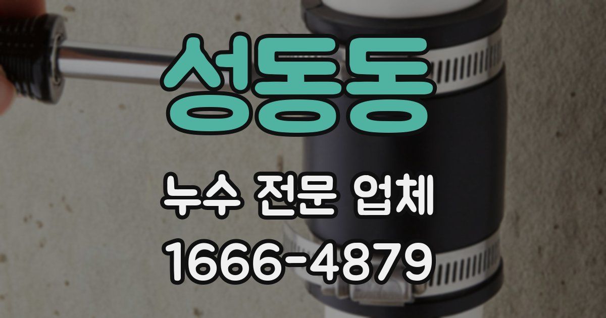 성동동 누수 전문 업체
