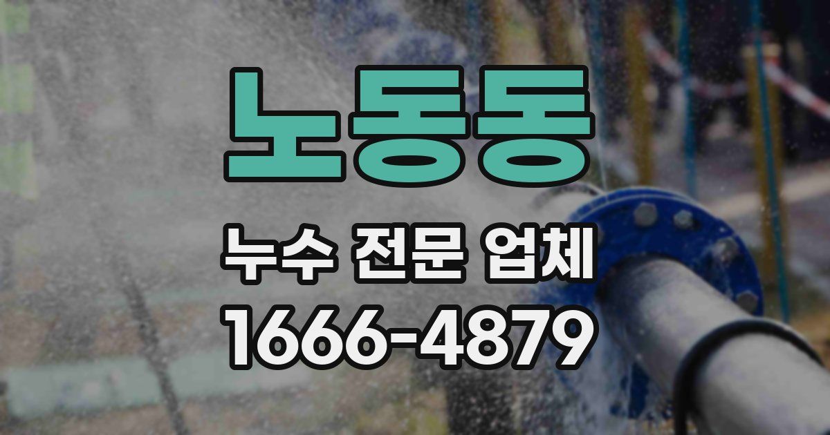 노동동 누수 전문 업체