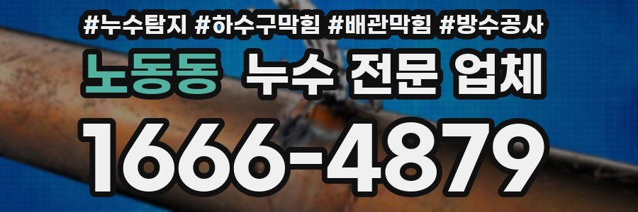 노동동 누수 전문 업체