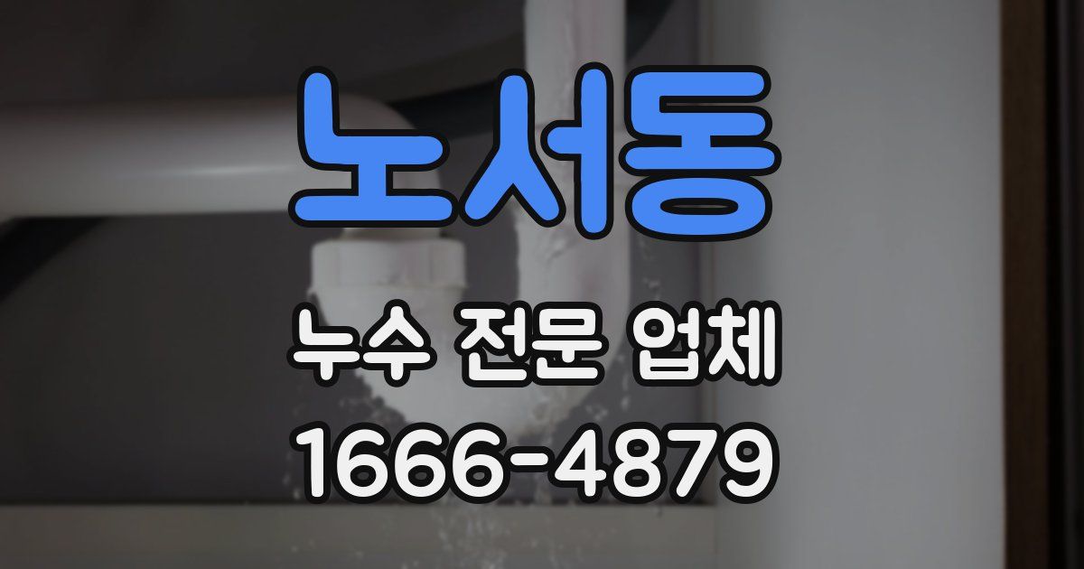 노서동 누수 전문 업체