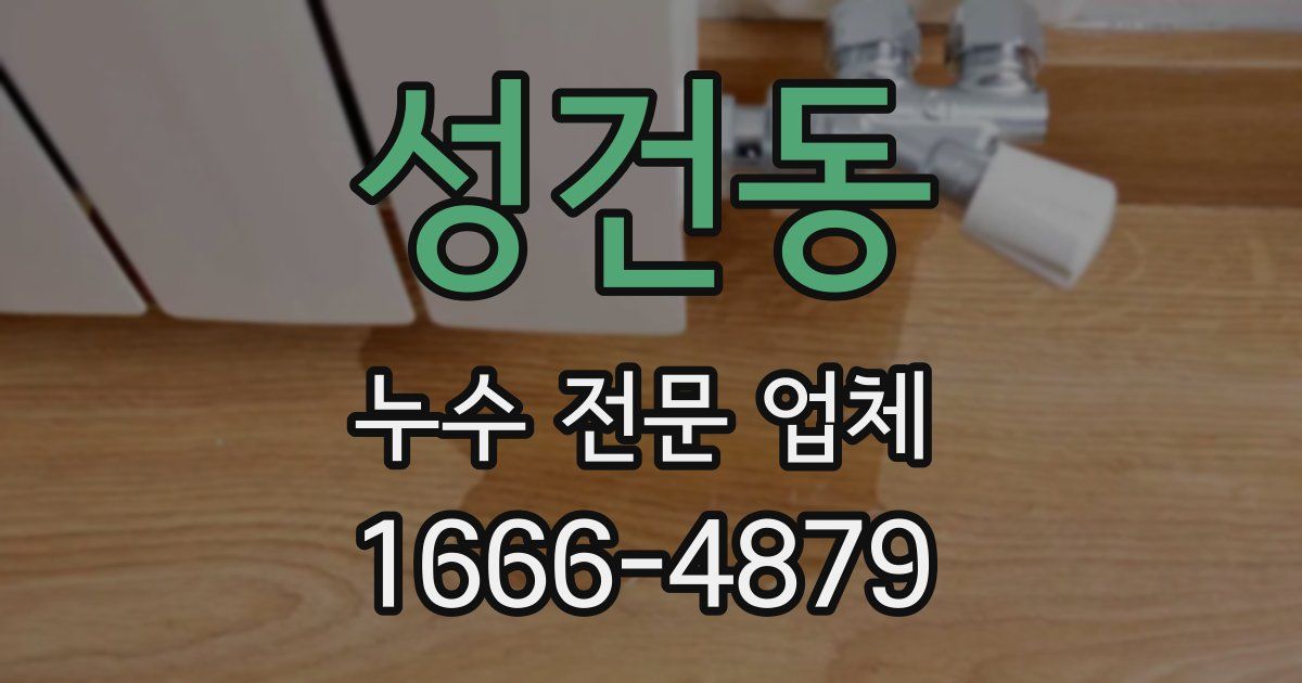 성건동 누수 전문 업체