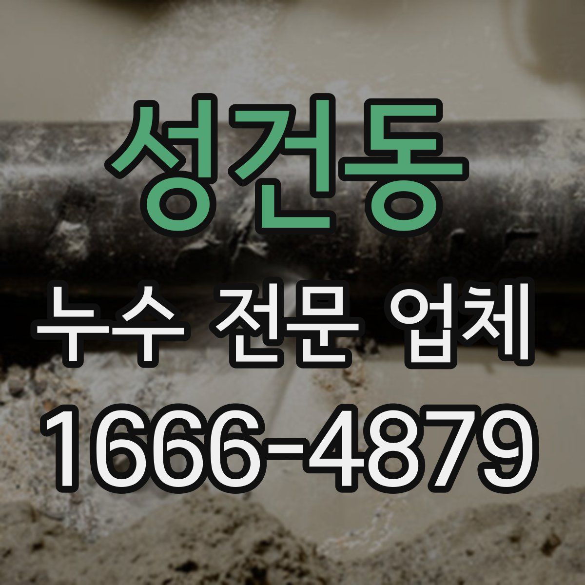 성건동 누수 전문 업체