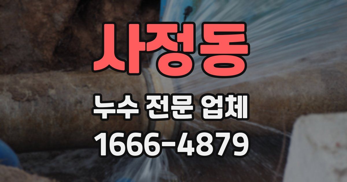 사정동 누수 전문 업체