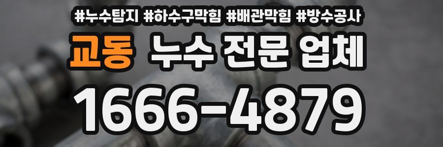 교동 누수 전문 업체