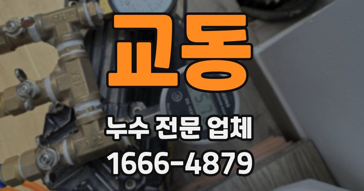 교동 누수 전문 업체