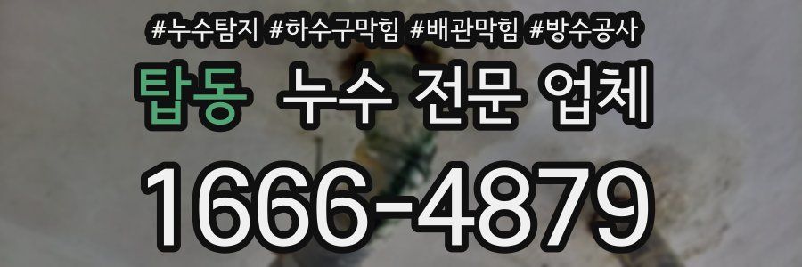 탑동 누수 전문 업체