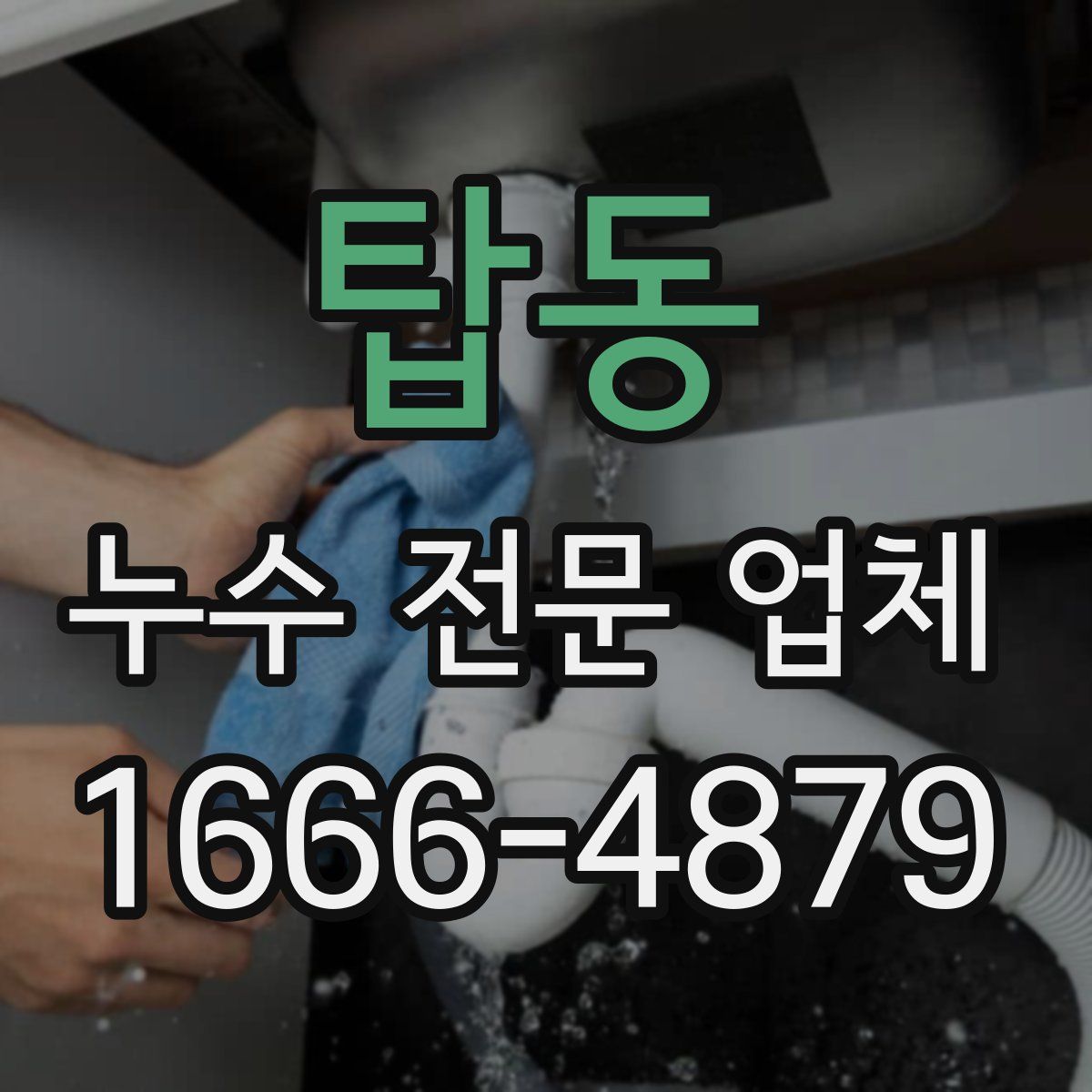 탑동 누수 전문 업체