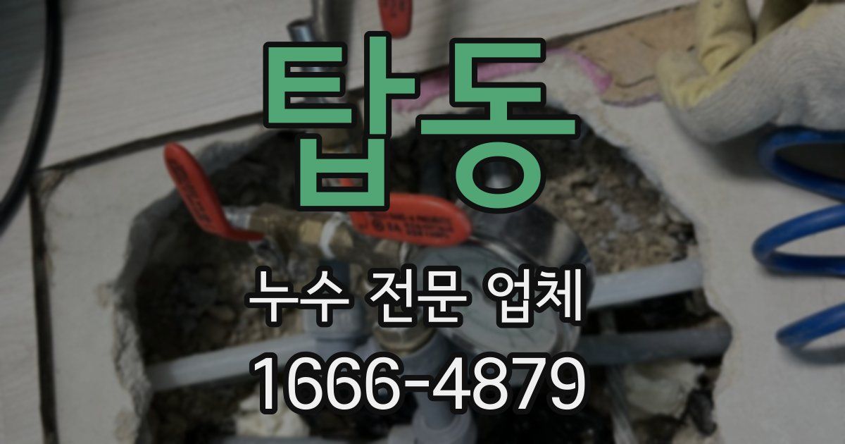 탑동 누수 전문 업체