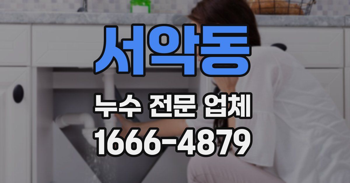 서악동 누수 전문 업체