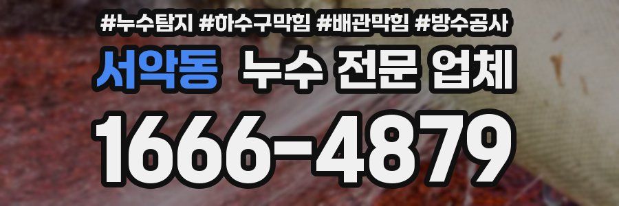 서악동 누수 전문 업체
