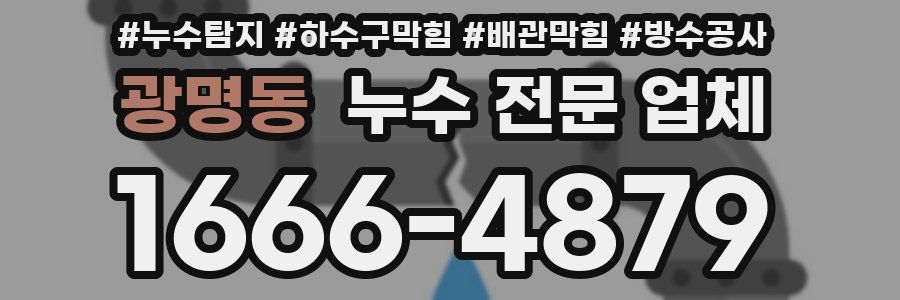 광명동 누수 전문 업체