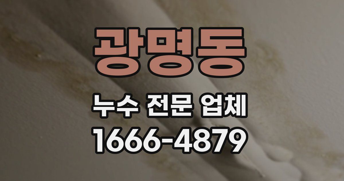 광명동 누수 전문 업체
