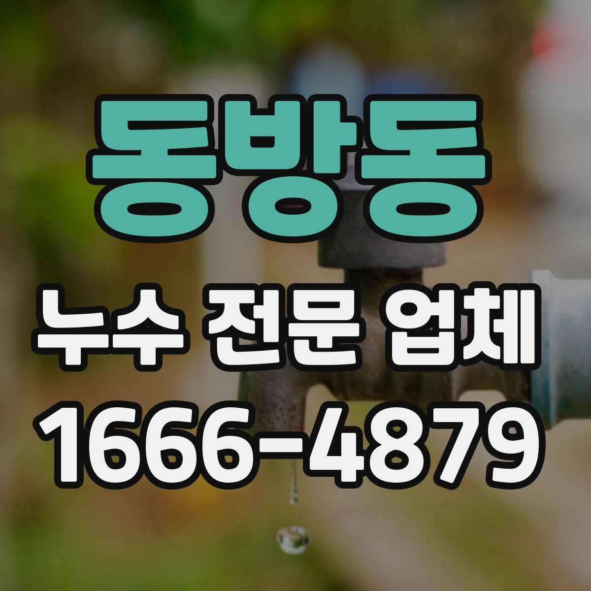동방동 누수 전문 업체