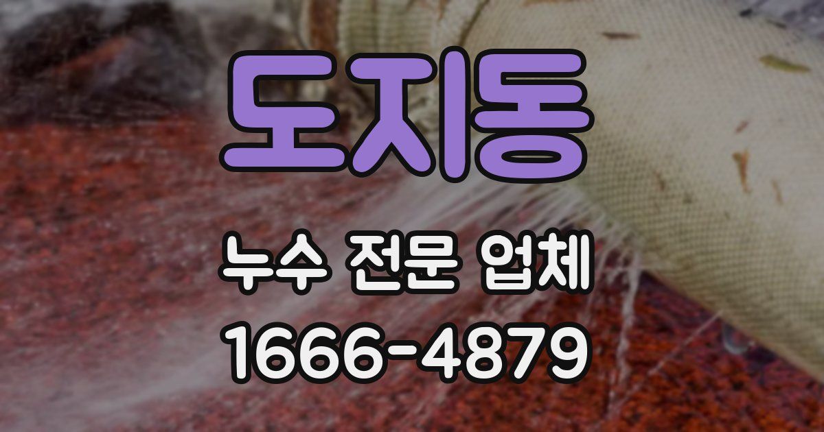 도지동 누수 전문 업체