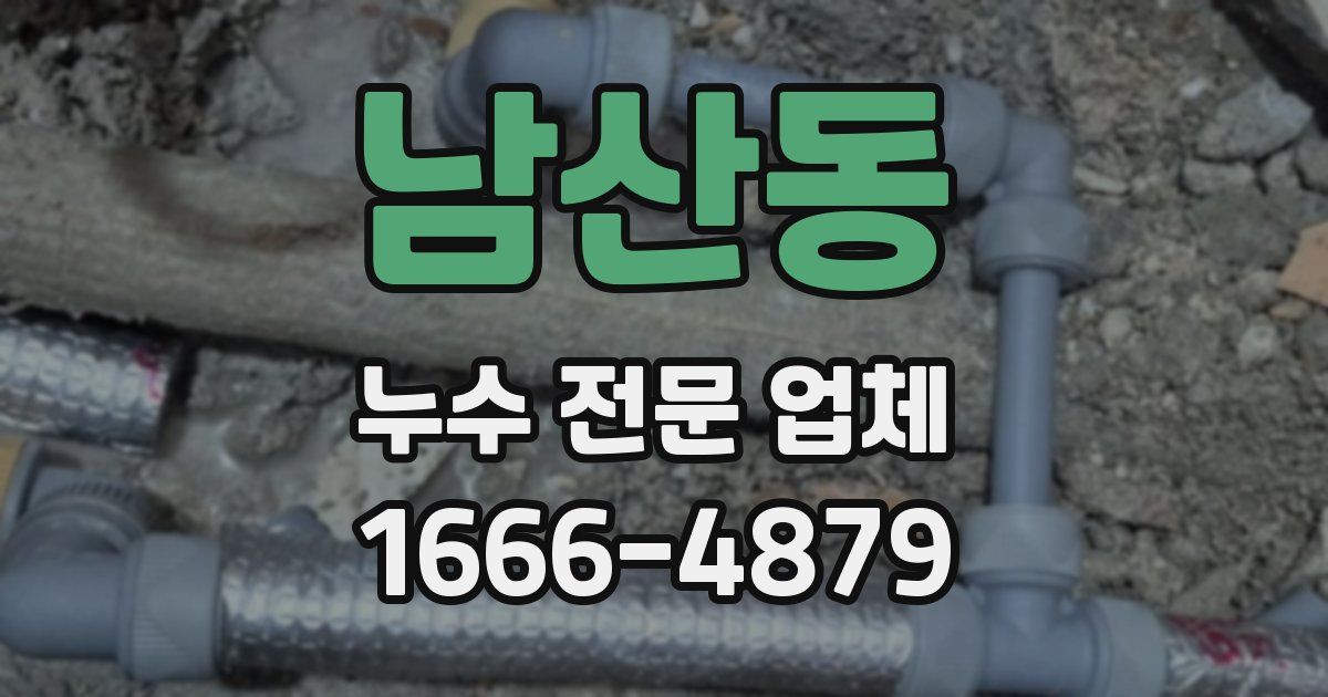 남산동 누수 전문 업체