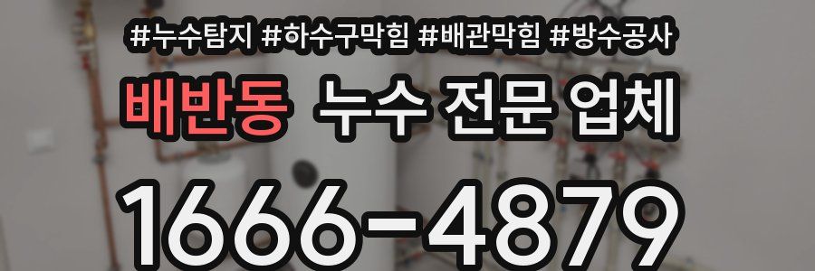 배반동 누수 전문 업체