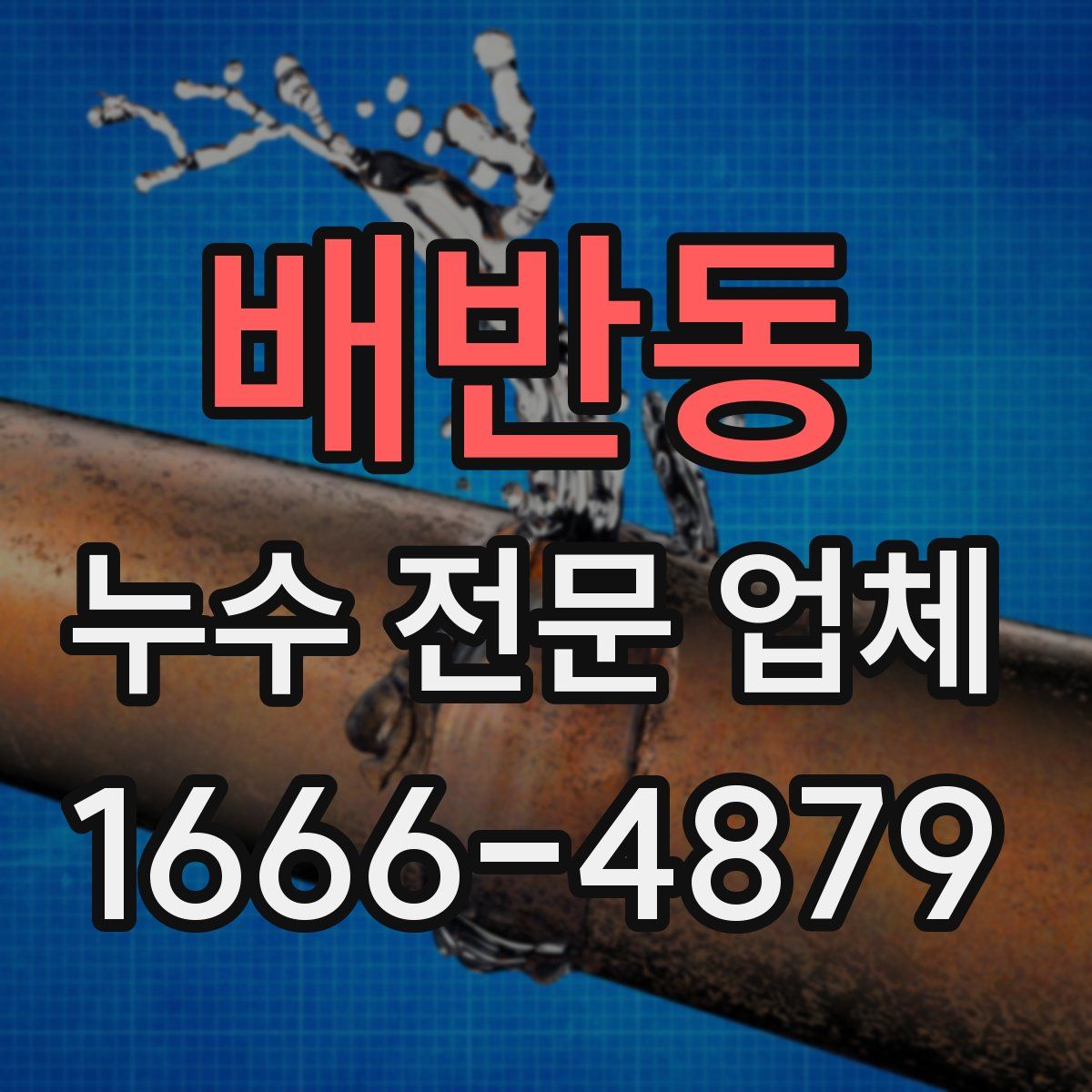 배반동 누수 전문 업체