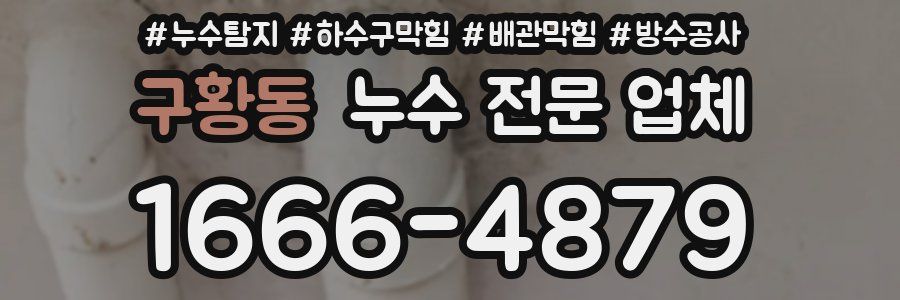 구황동 누수 전문 업체