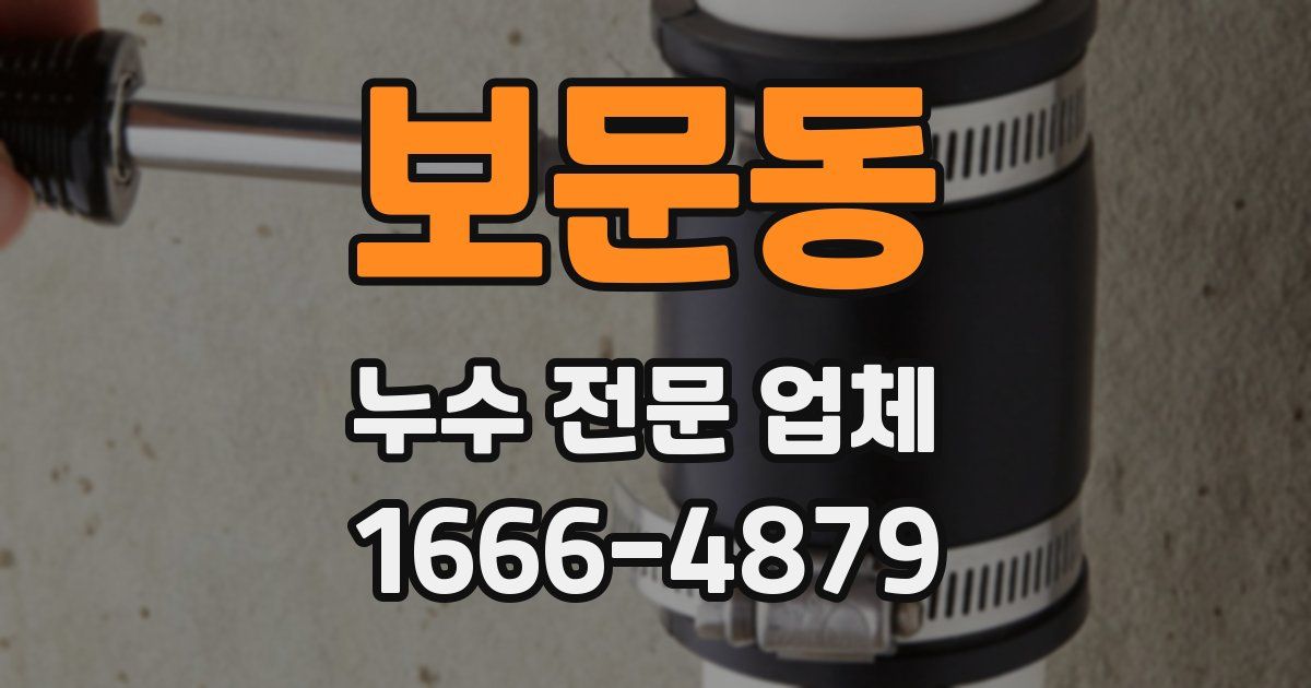 보문동 누수 전문 업체