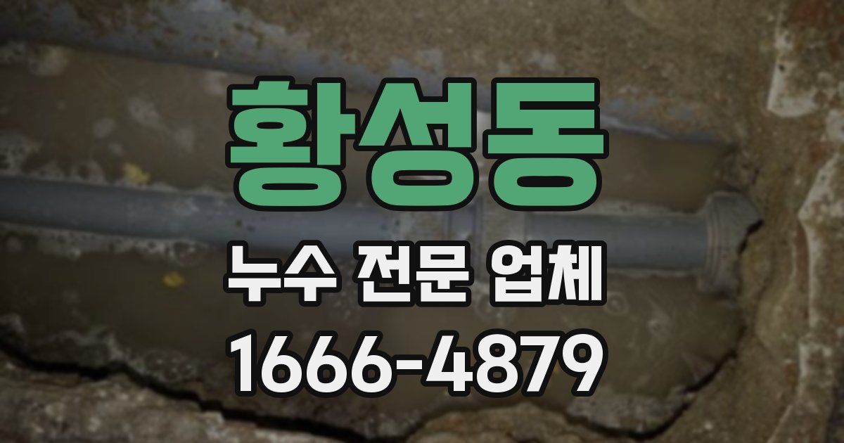 황성동 누수 전문 업체