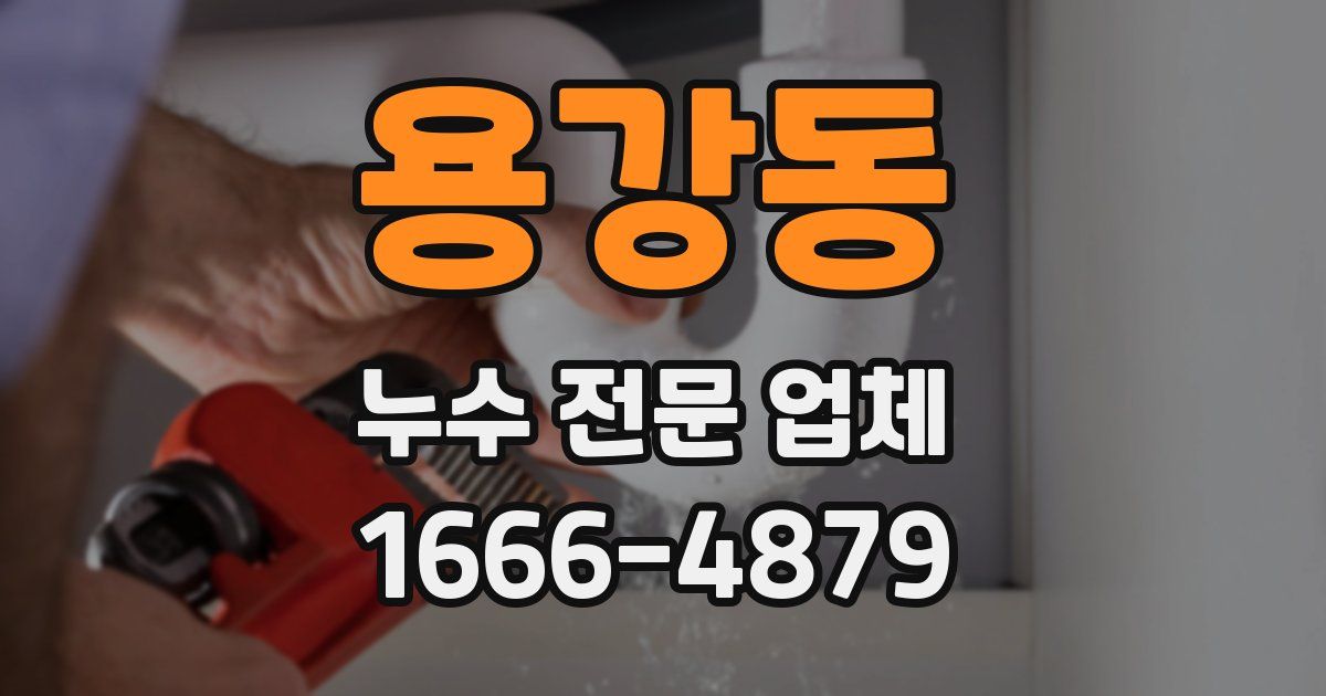 용강동 누수 전문 업체