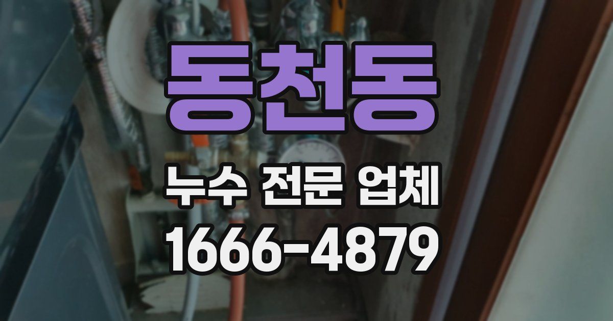 동천동 누수 전문 업체