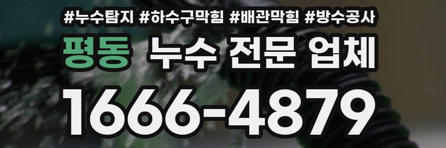 평동 누수 전문 업체