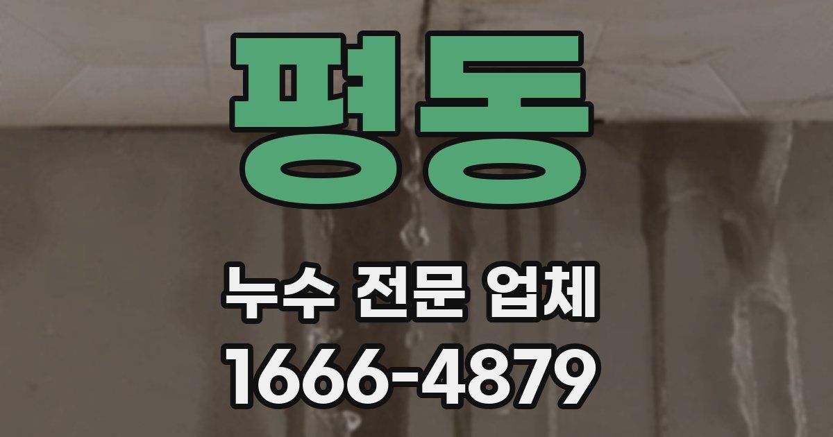평동 누수 전문 업체