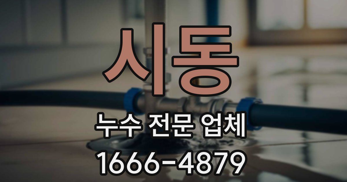 시동 누수 전문 업체