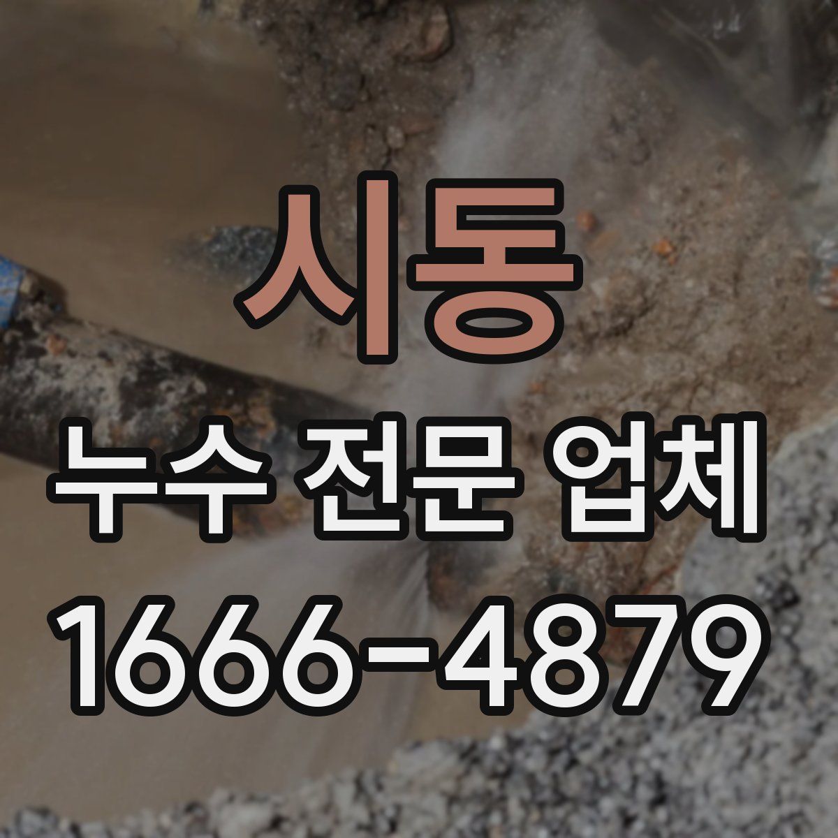 시동 누수 전문 업체