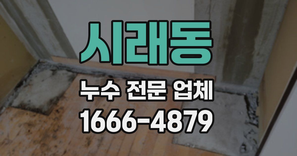 시래동 누수 전문 업체