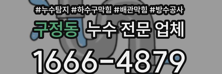 구정동 누수 전문 업체