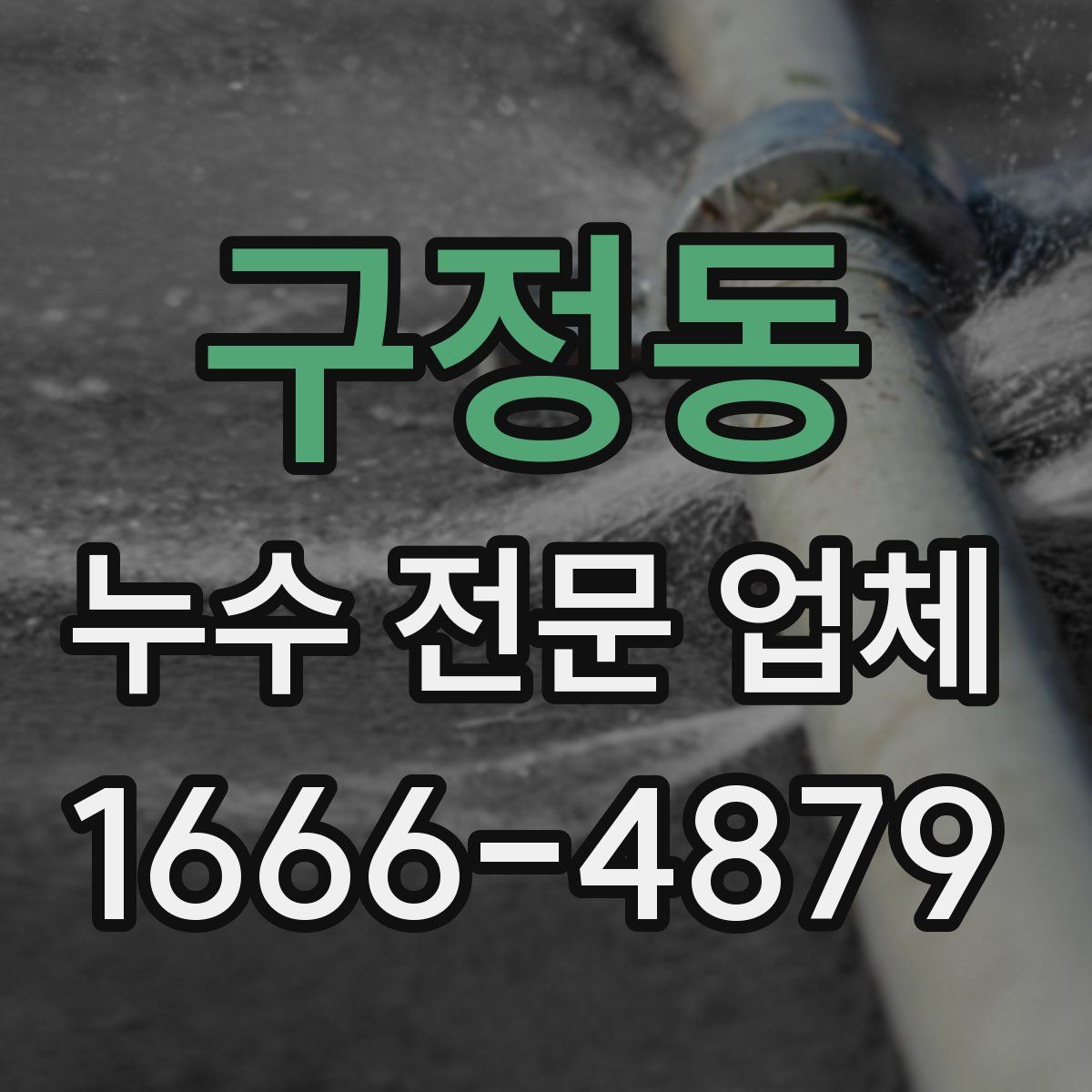 구정동 누수 전문 업체