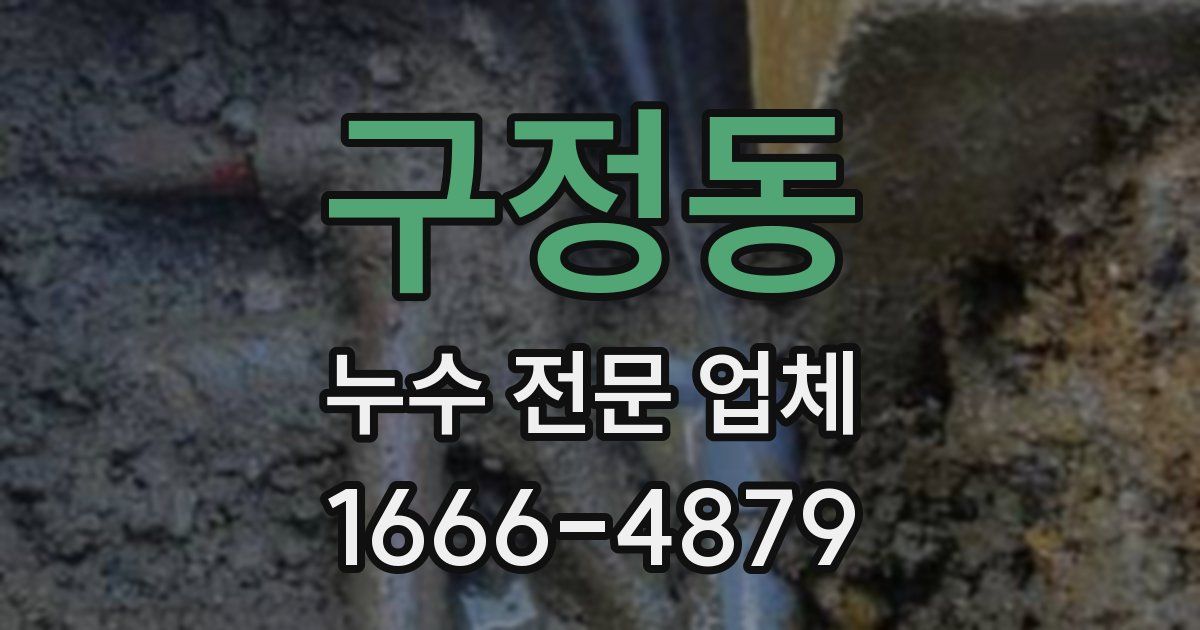 구정동 누수 전문 업체