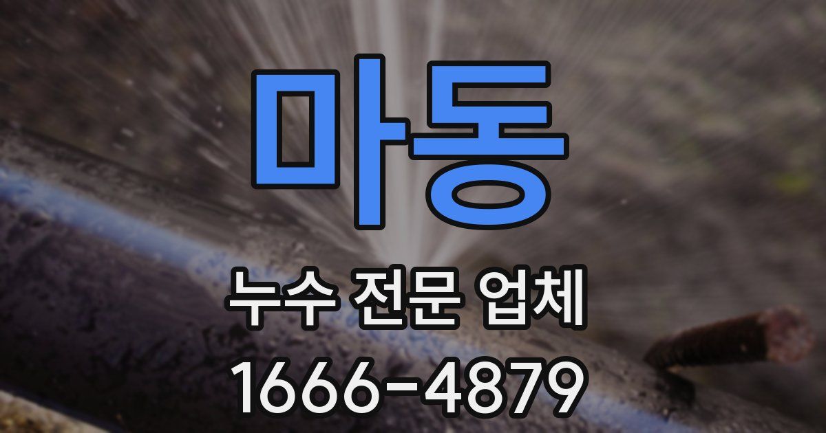 마동 누수 전문 업체