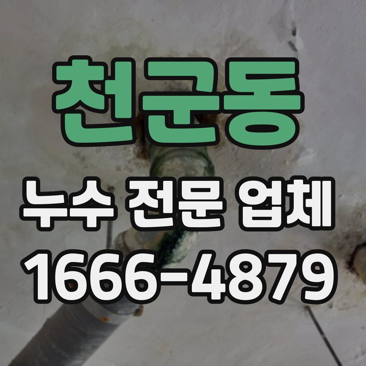 천군동 누수 전문 업체