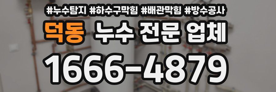 덕동 누수 전문 업체